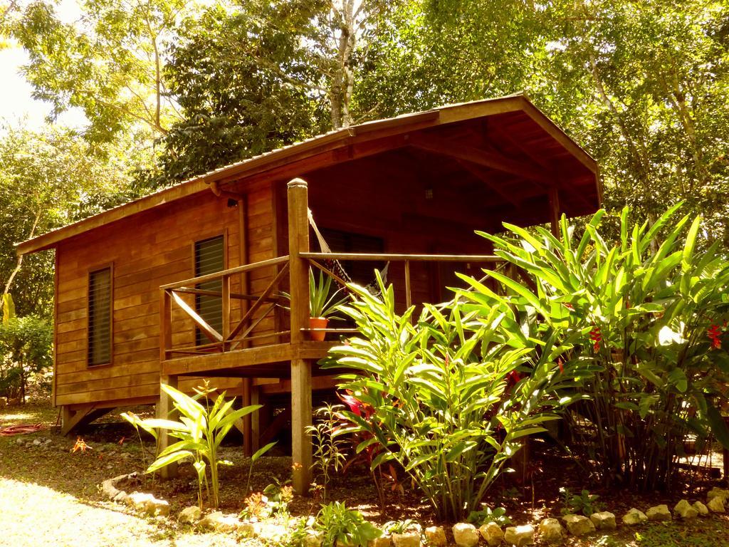 Vanilla Hills Resort San Ignacio Zimmer foto