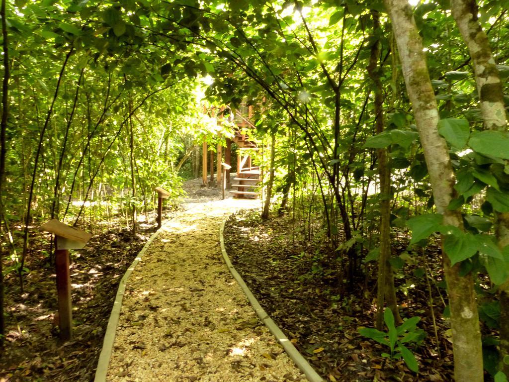 Vanilla Hills Resort San Ignacio Zimmer foto