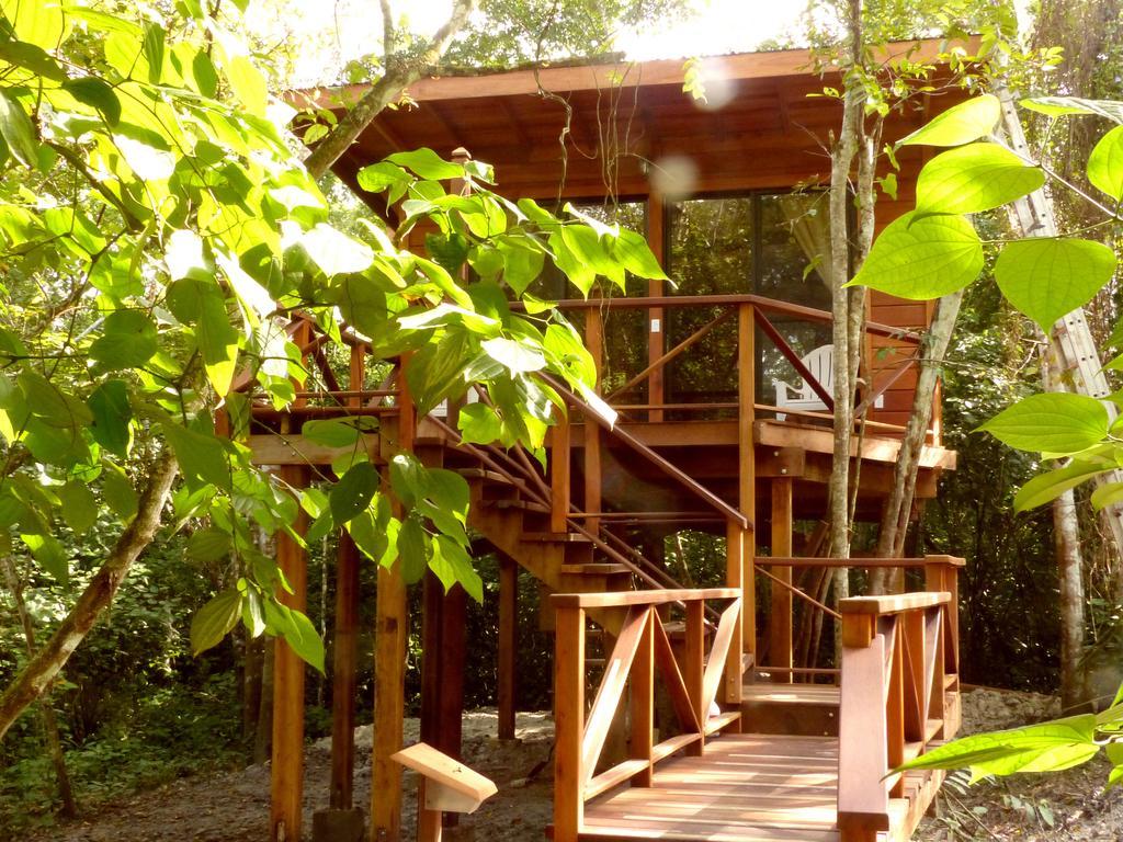 Vanilla Hills Resort San Ignacio Zimmer foto
